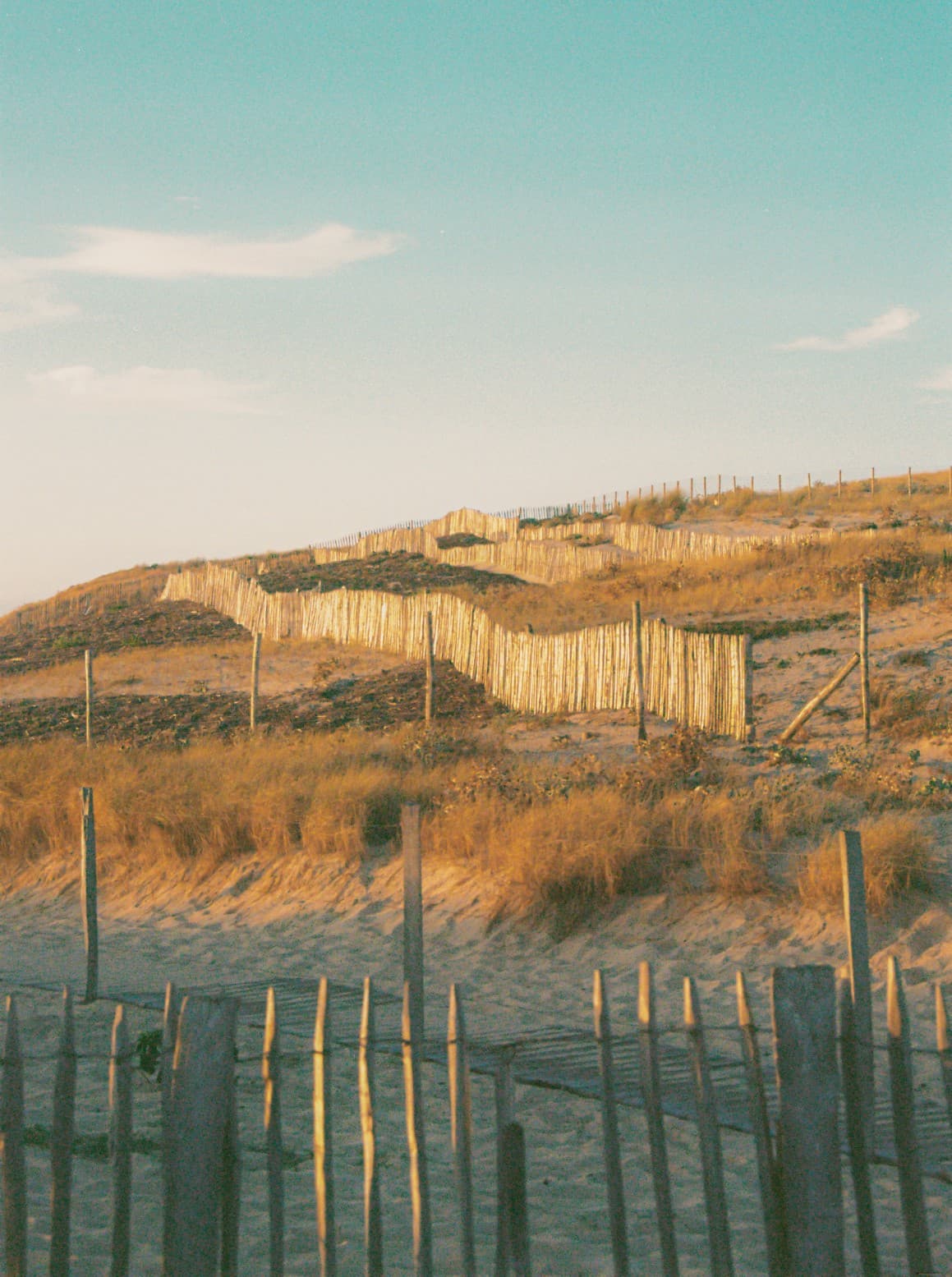 Barthelemy de Mazenod | The Seafront | A classical beach of south west of France