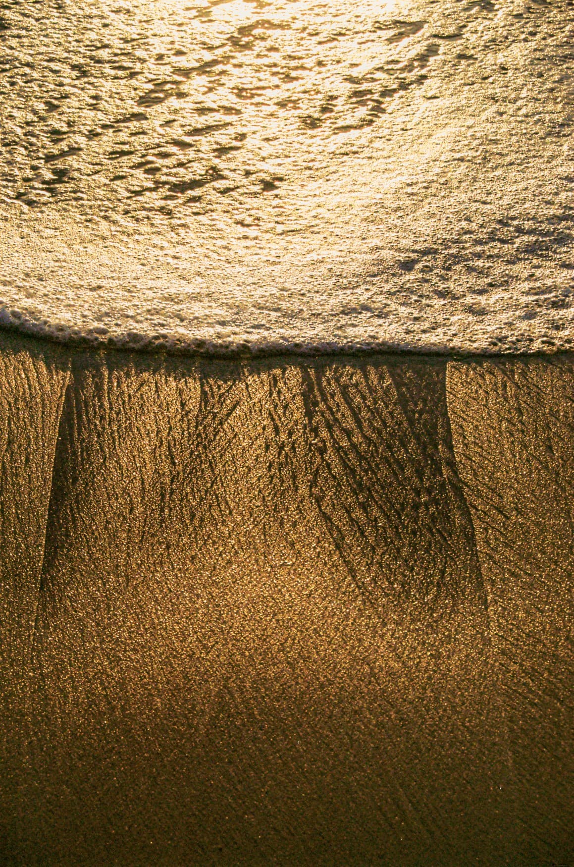 Barthelemy de Mazenod | The Seafront | Sand and water look like gold dust in the south west of France